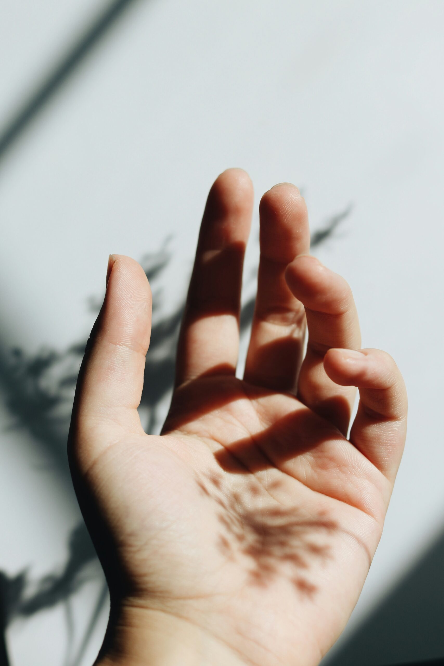 jessica mangano xvoaik2mfoa unsplash